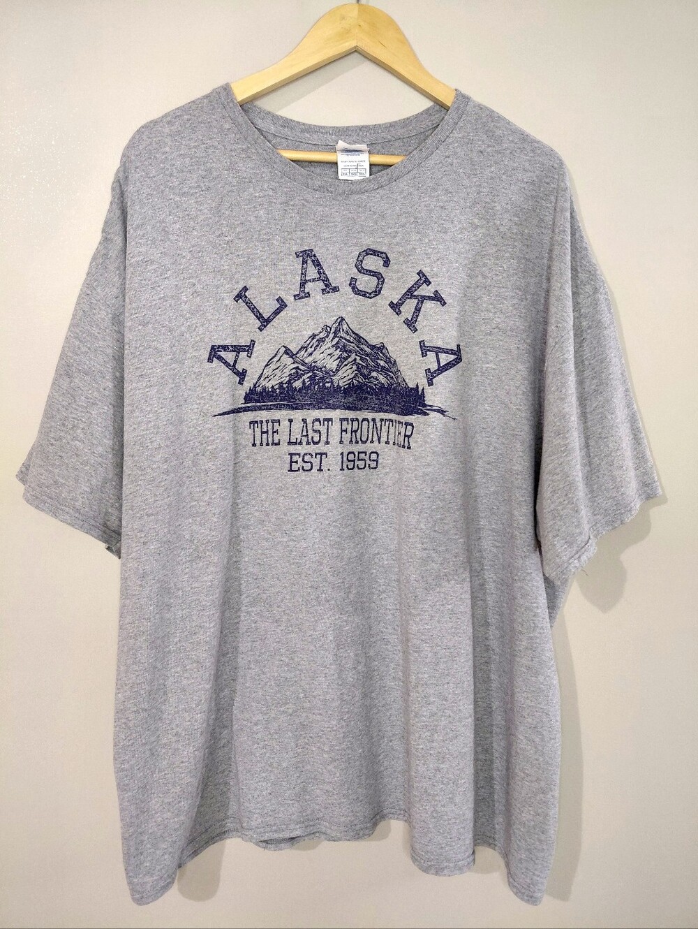 🦋3/$20 Delta Gray Alaska Graphic Tee - Mountain Print Oversized Plus Size 3X
